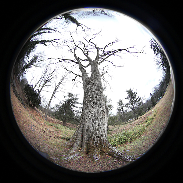 Laowa 4mm f/2.8 Circular Fisheye Lens Review | Shutterbug Laowa 4mm f/2.8 Circular Fisheye Lens Review | Shutterbug